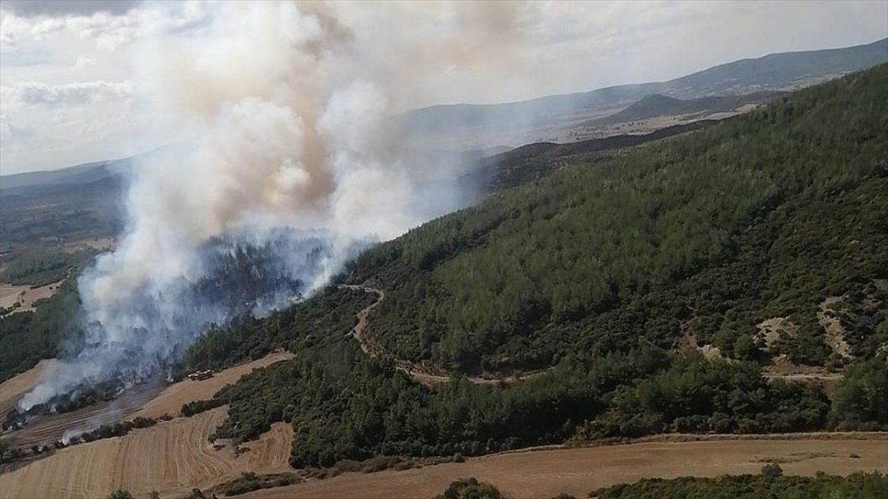 Çanakkale'de orman yangını!