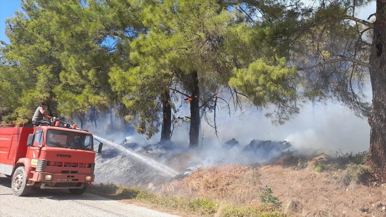 Antalya'da orman yangını!