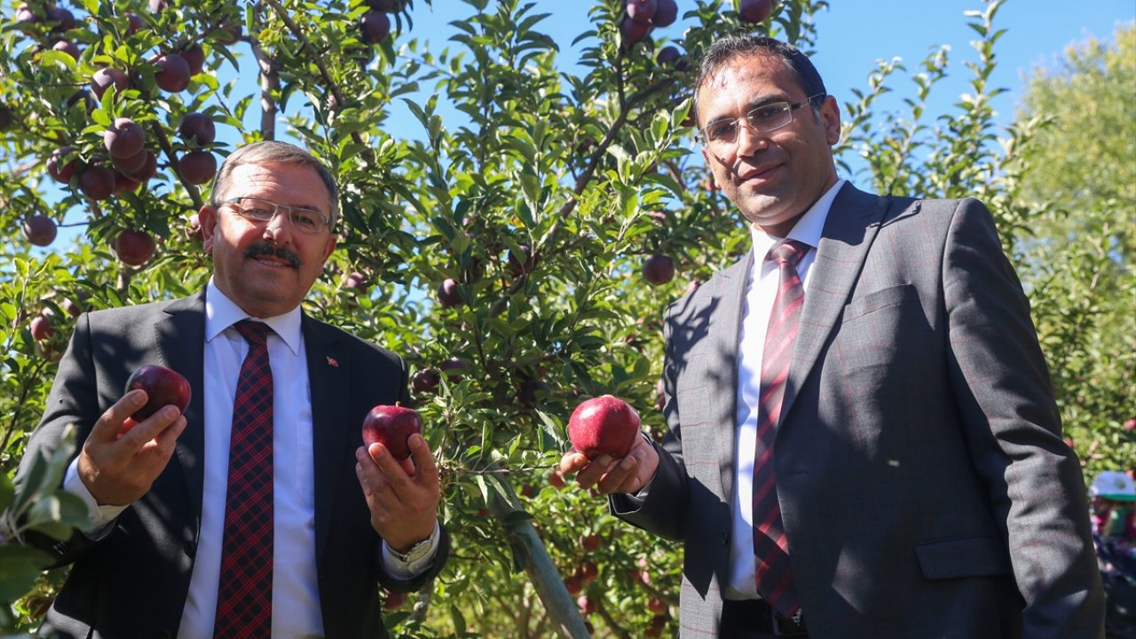 Göksu’da elmadan 53 bin ton rekolte bekleniyor!