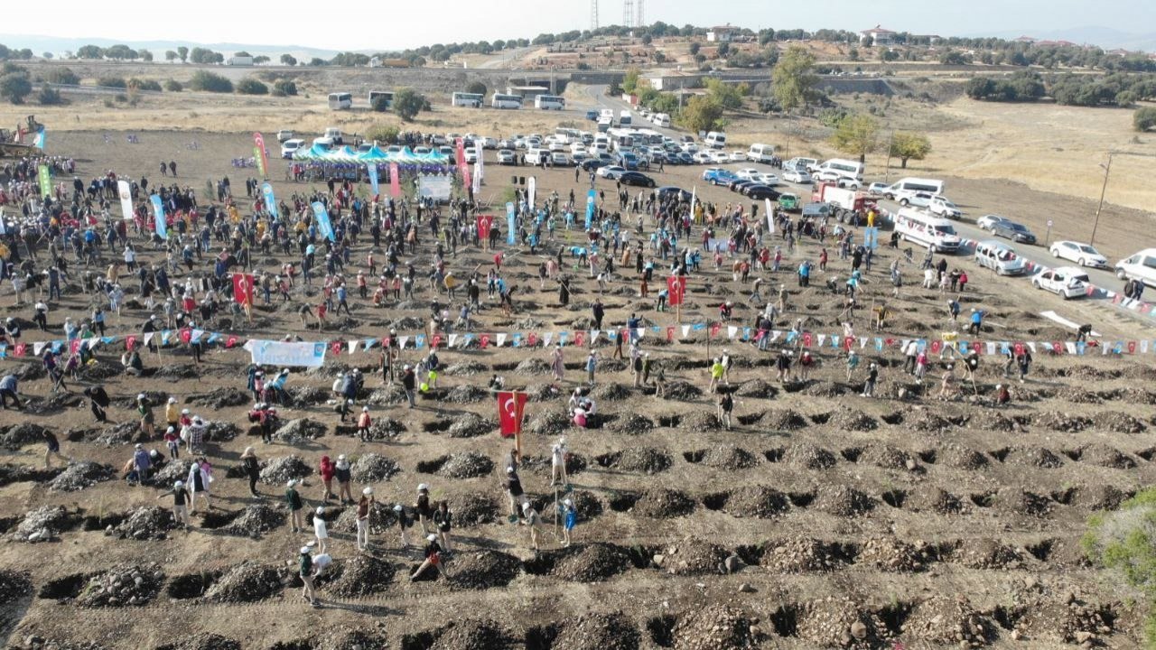 Kahramanmaraş’ta binlerce fidan toprakla buluştu!