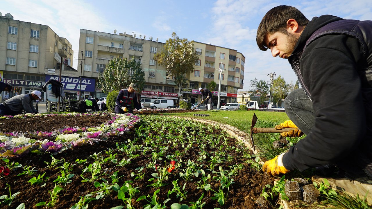 Kahramanmaraş Büyükşehir 10 bin ağacı toprakla buluşturdu!