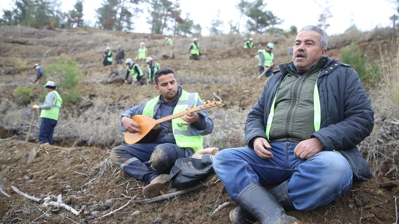 Kahramanmaraş'ta fidanlar toprakla "sazlı sözlü" buluşuyor!