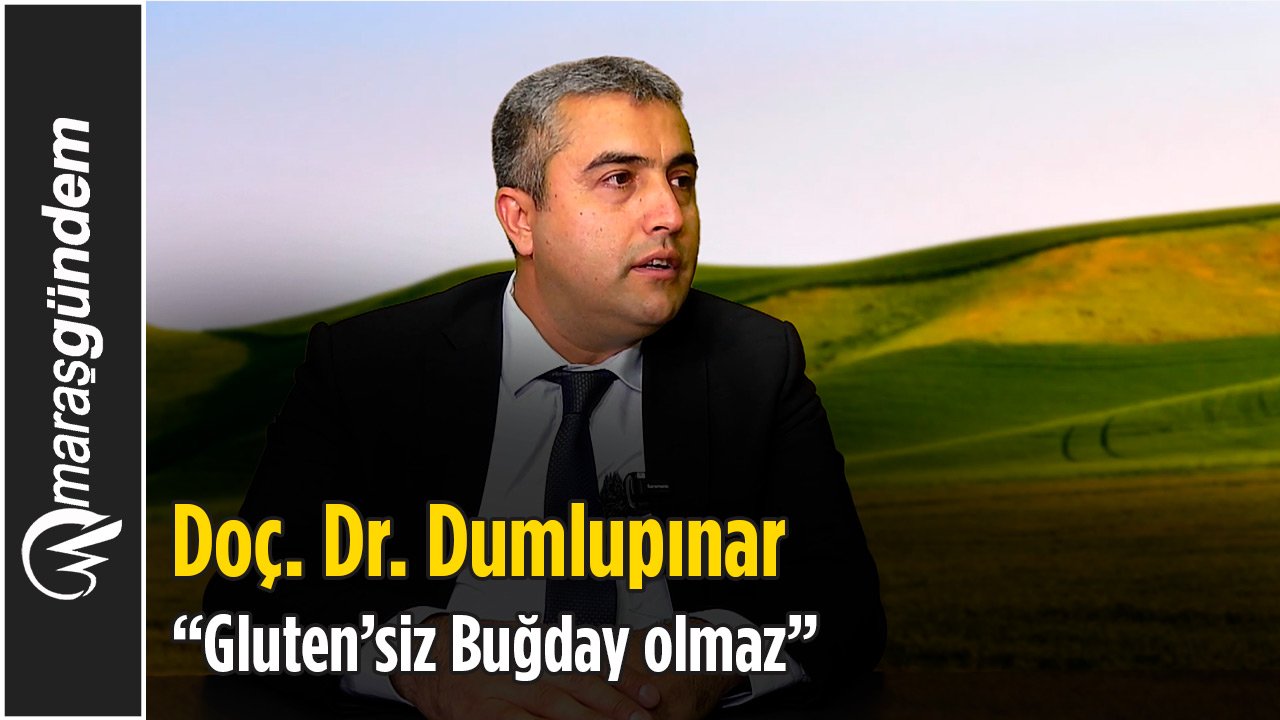 Doç. Dr. Dumulupınar: Glutensiz Buğday olmaz