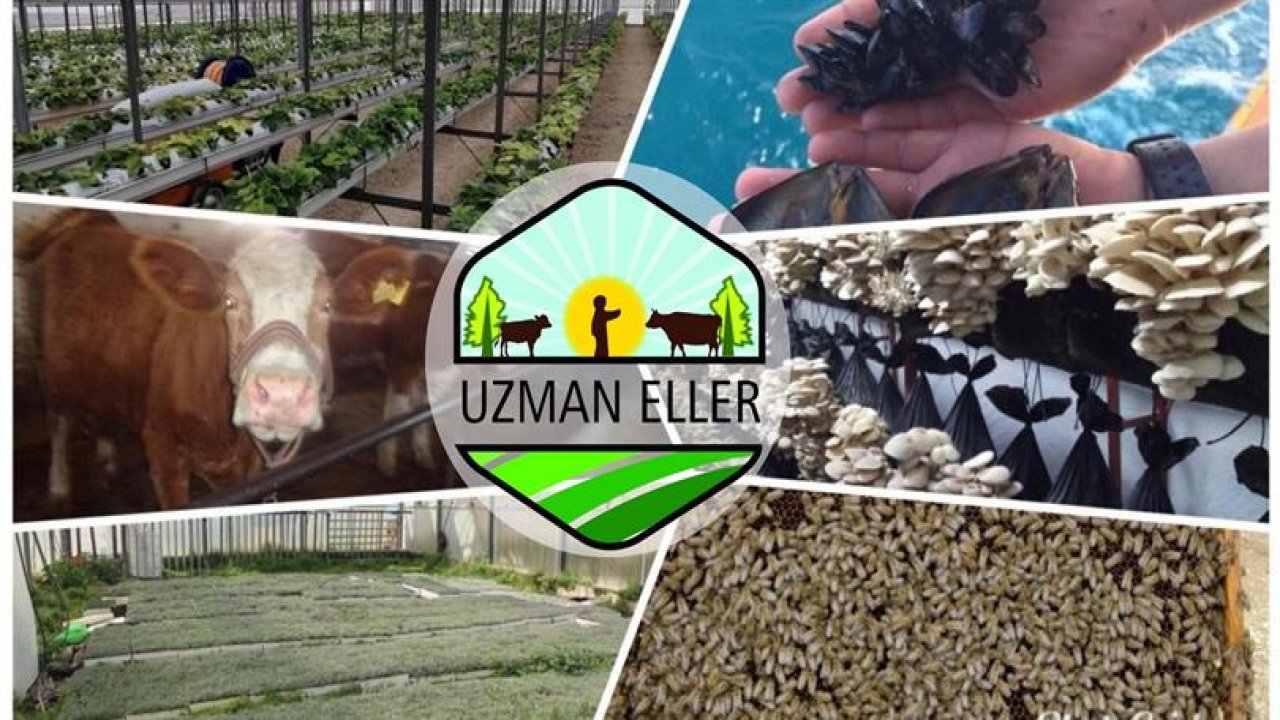 Uzman Eller Projesinde Kahramanmaraş’ta 28 proje hibe aldı!