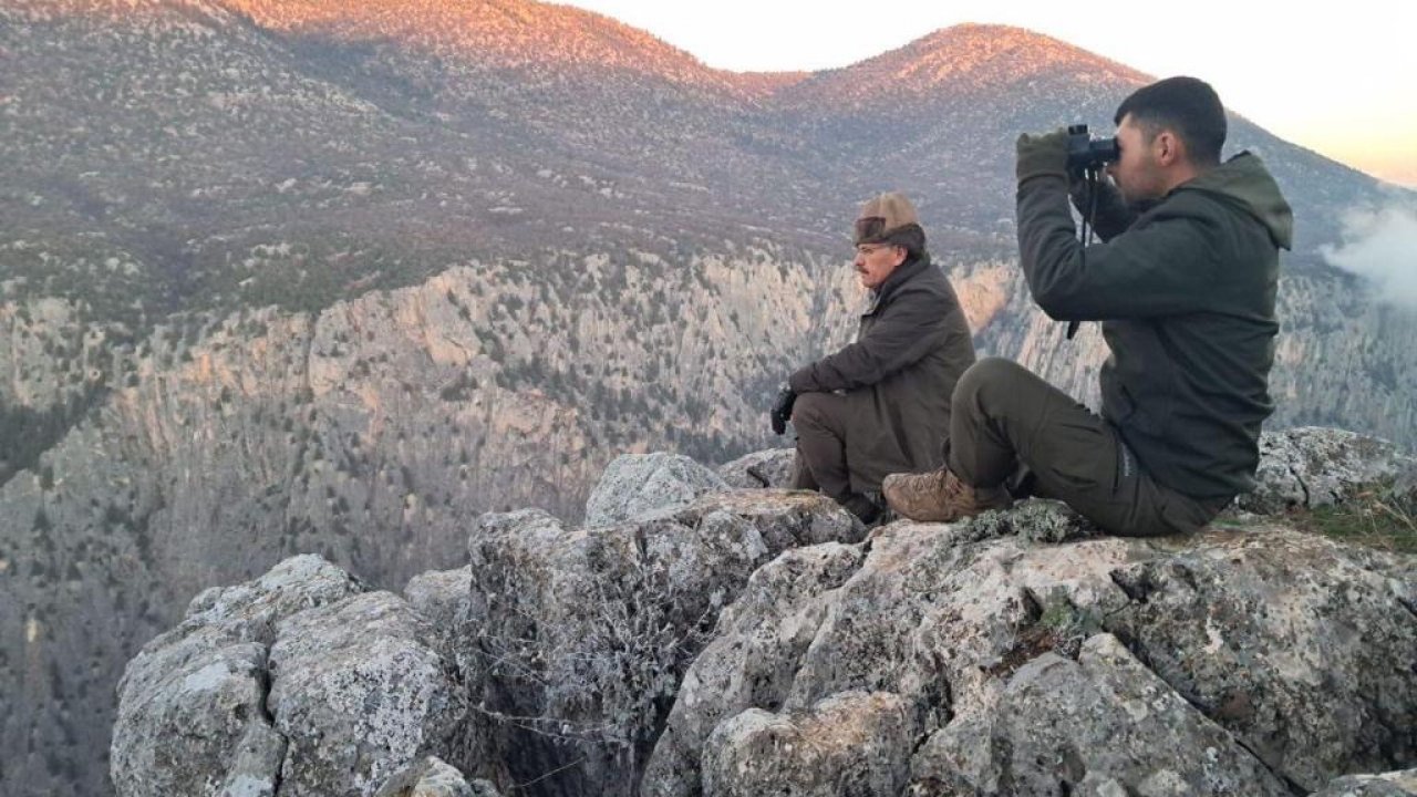 Kahramanmaraş’ta yaban hayatı onlara emanet!