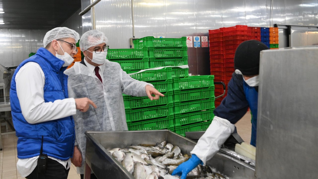 Başkan Güngör balık fabrikasını ziyaret etti!