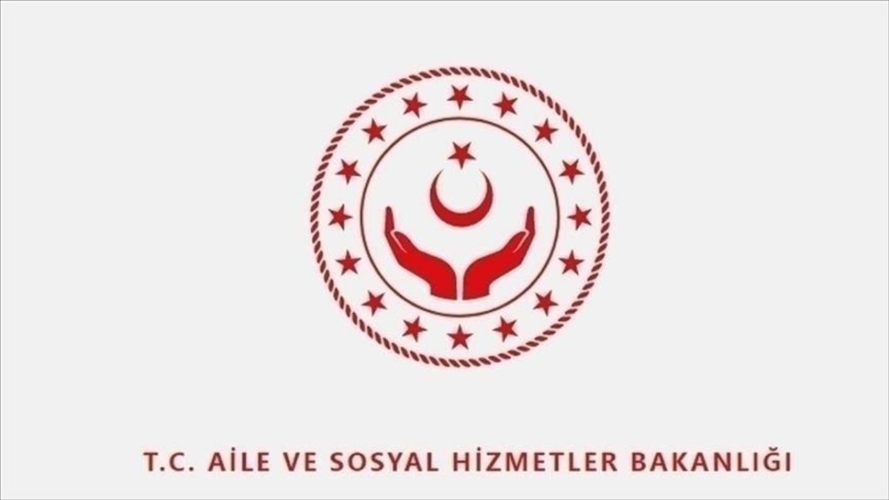 Aile ve Sosyal Hizmetler Bakanlığınca refakatsiz çocuklar için sorgu ekranı açıldı