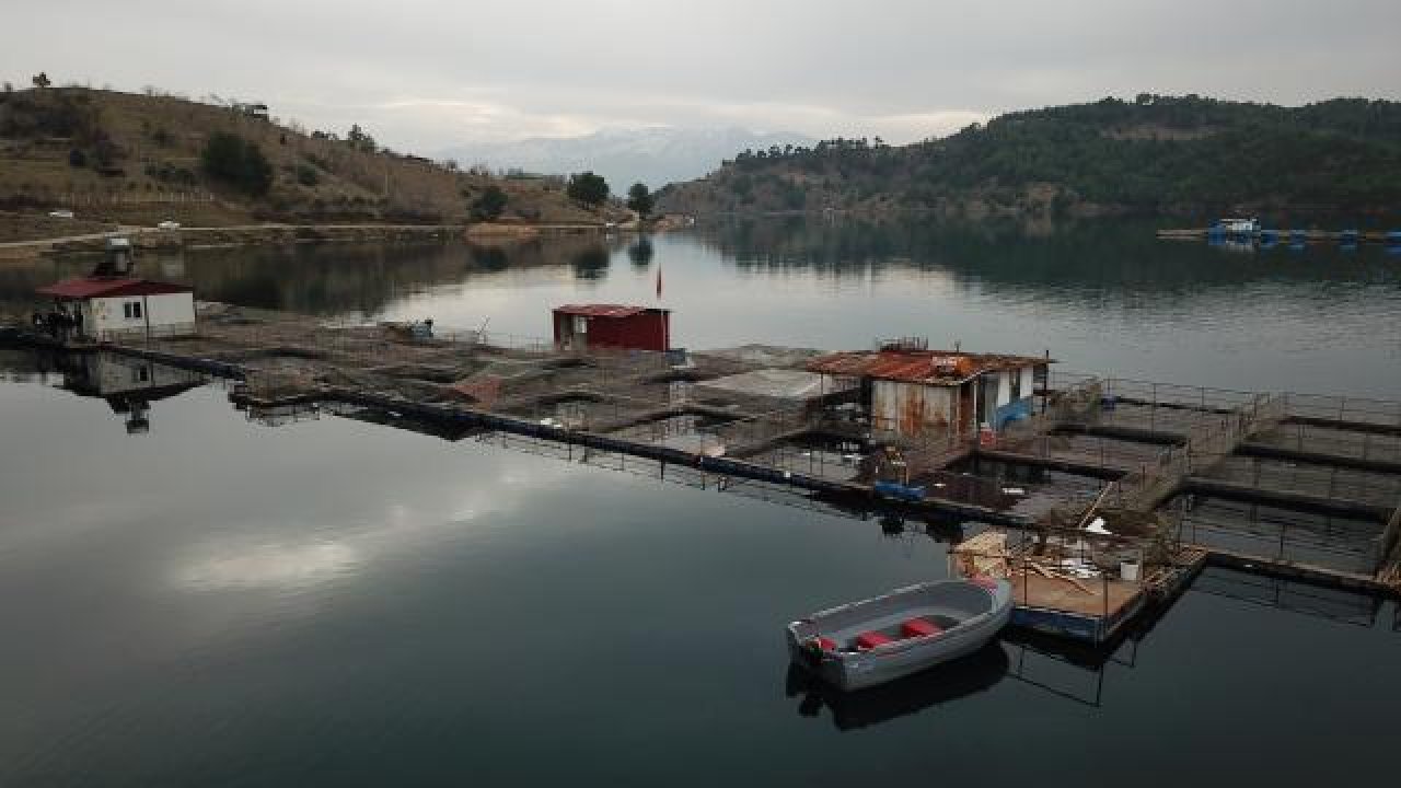 Kahramanmaraş'ta balıkçılık sektörü deprem sonrası toparlanmaya çalışıyor!