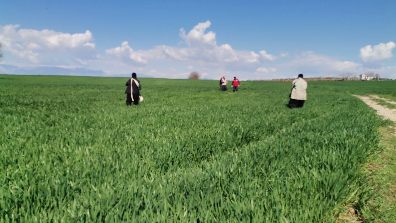 Kahramanmaraş’ta depremzede çiftçilerin tarla mesaisi başladı!