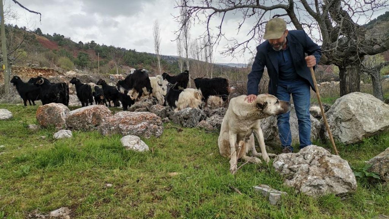 Kahramanmaraş’ta depremzede çobana devlet eli!