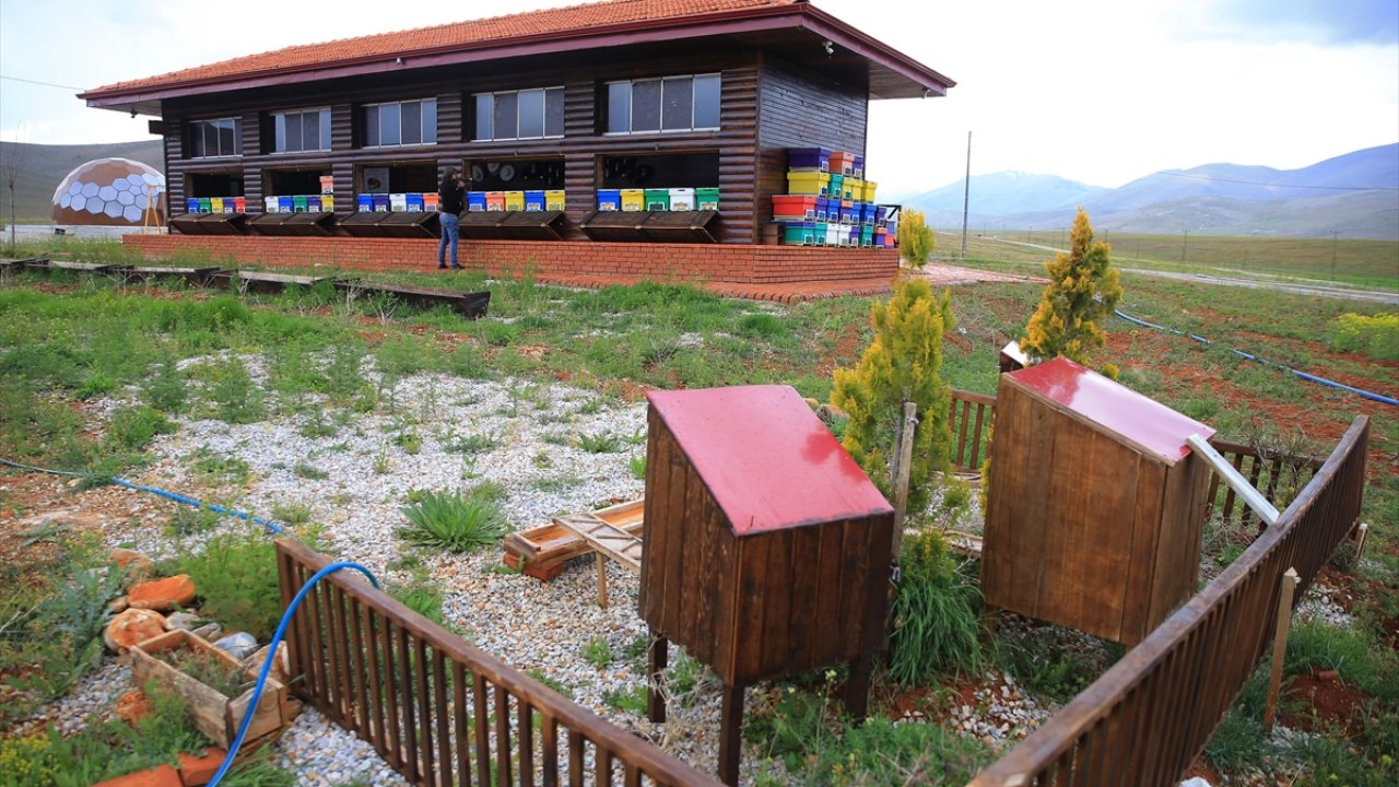 Kahramanmaraş'taki arı evi depremde zarar görmedi!