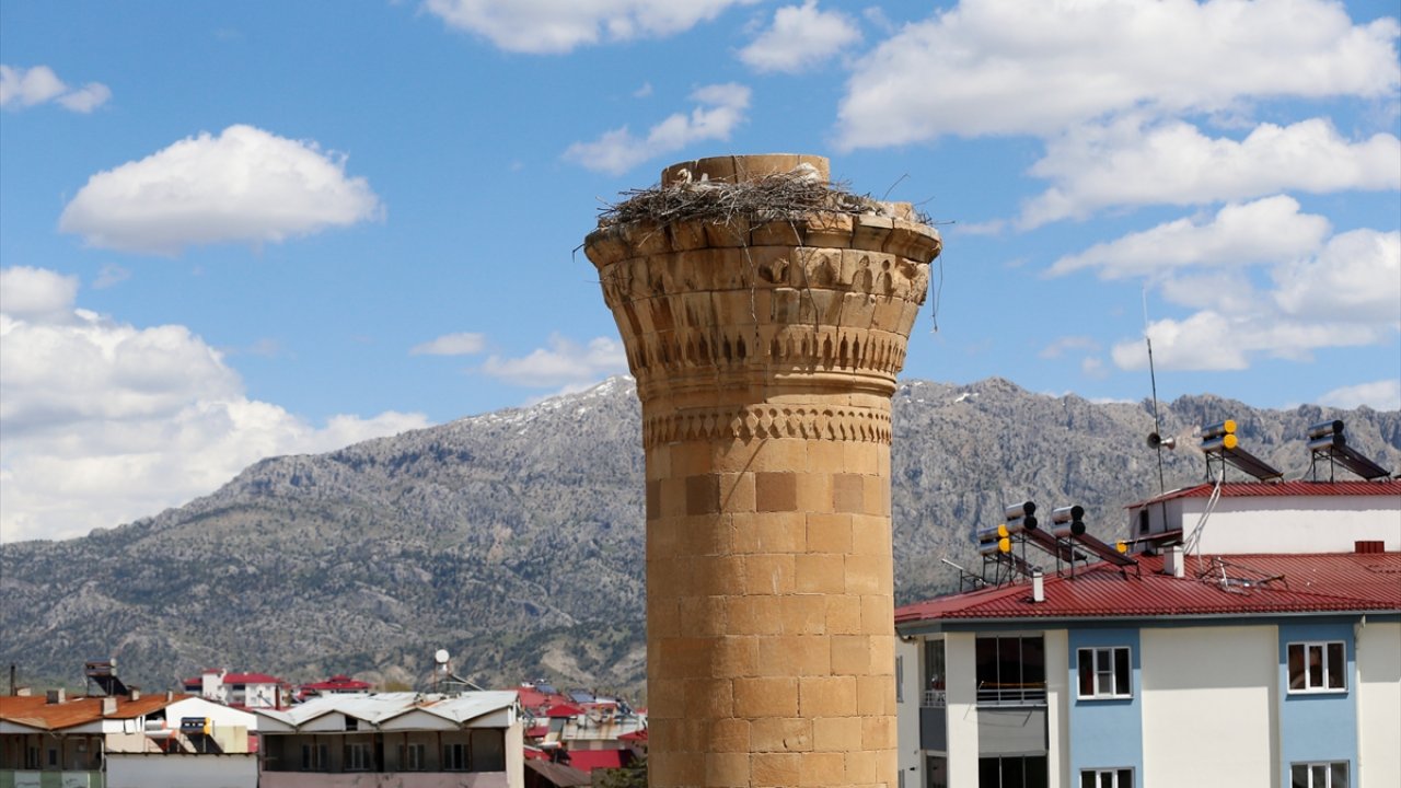 Kahramanmaraş’ta şerefesi yıkılan minare leyleklere yuva oldu!