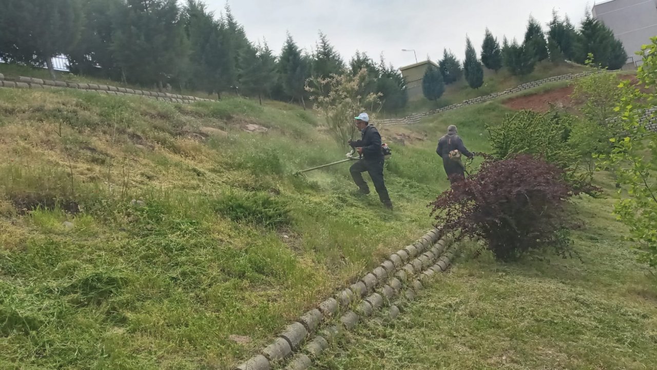 Dulkadiroğlu’ndan Çevre Temizliği