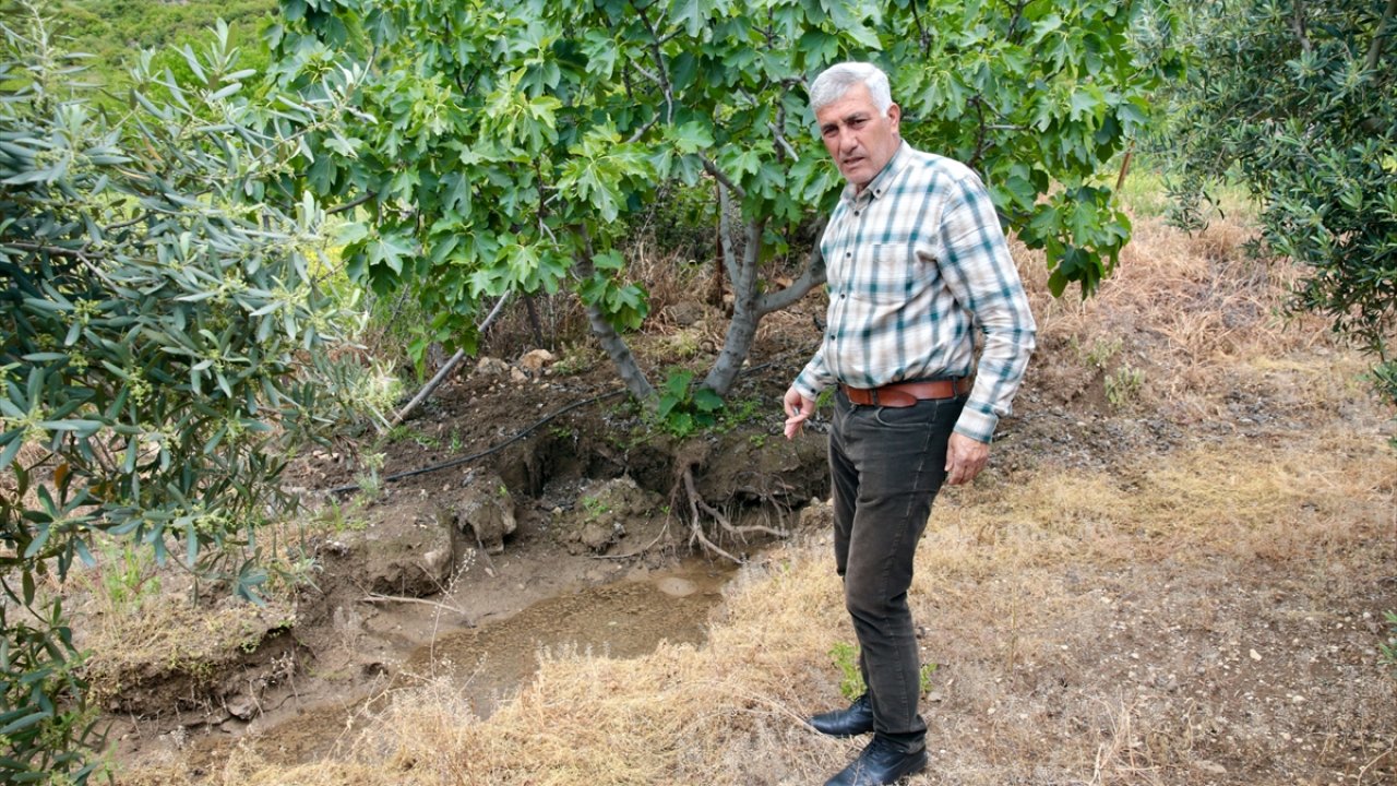 Kahramanmaraş'ta deprem tarım alanlarını da vurdu!