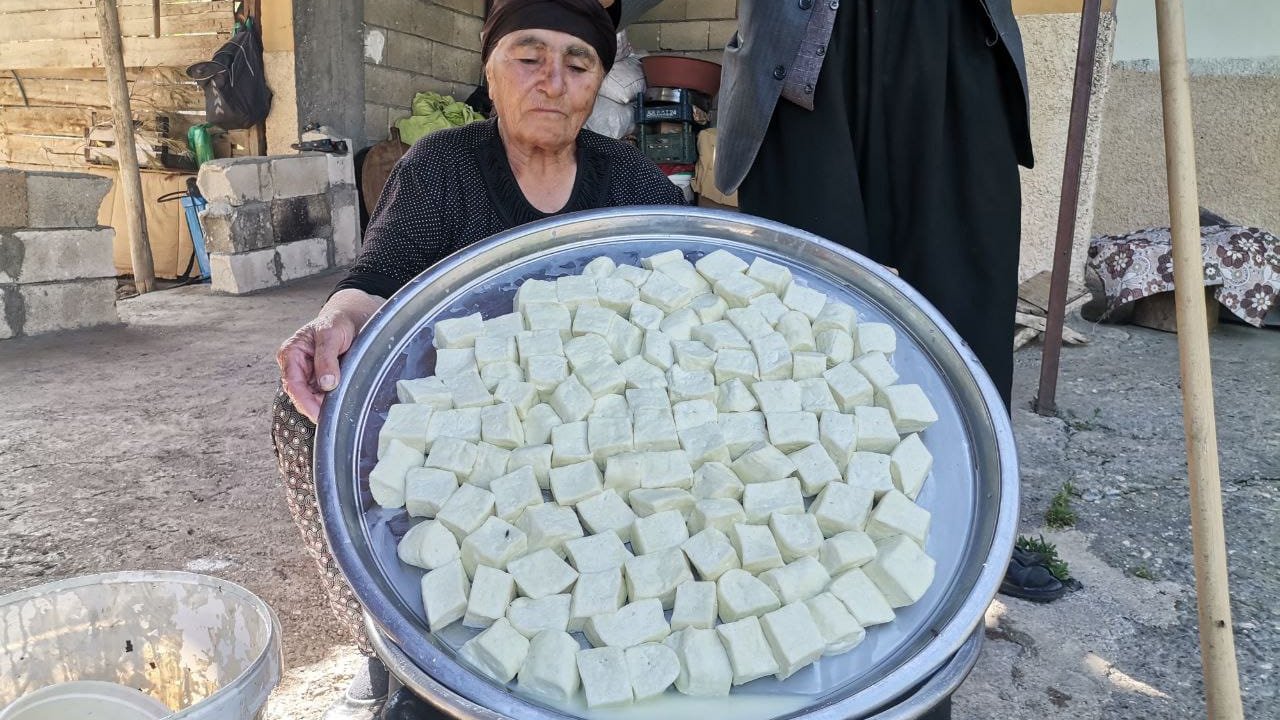 Kahramanmaraş’ta peynirler pazara hazırlanıyor!