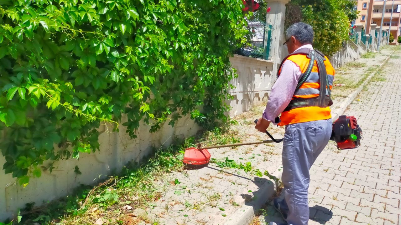 Kahramanmaraş’ta ot temizliği!