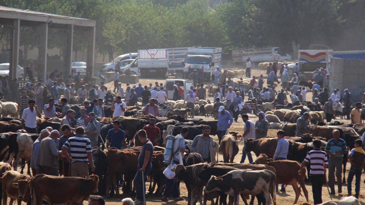 Kahramanmaraş’ta Hayvan Borsası, tedbir amaçlı kapatıldı!