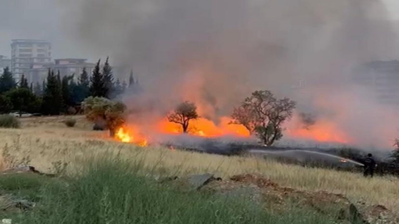 Kahramanmaraş’ta izmarit yangını az daha binaları yakacaktı!