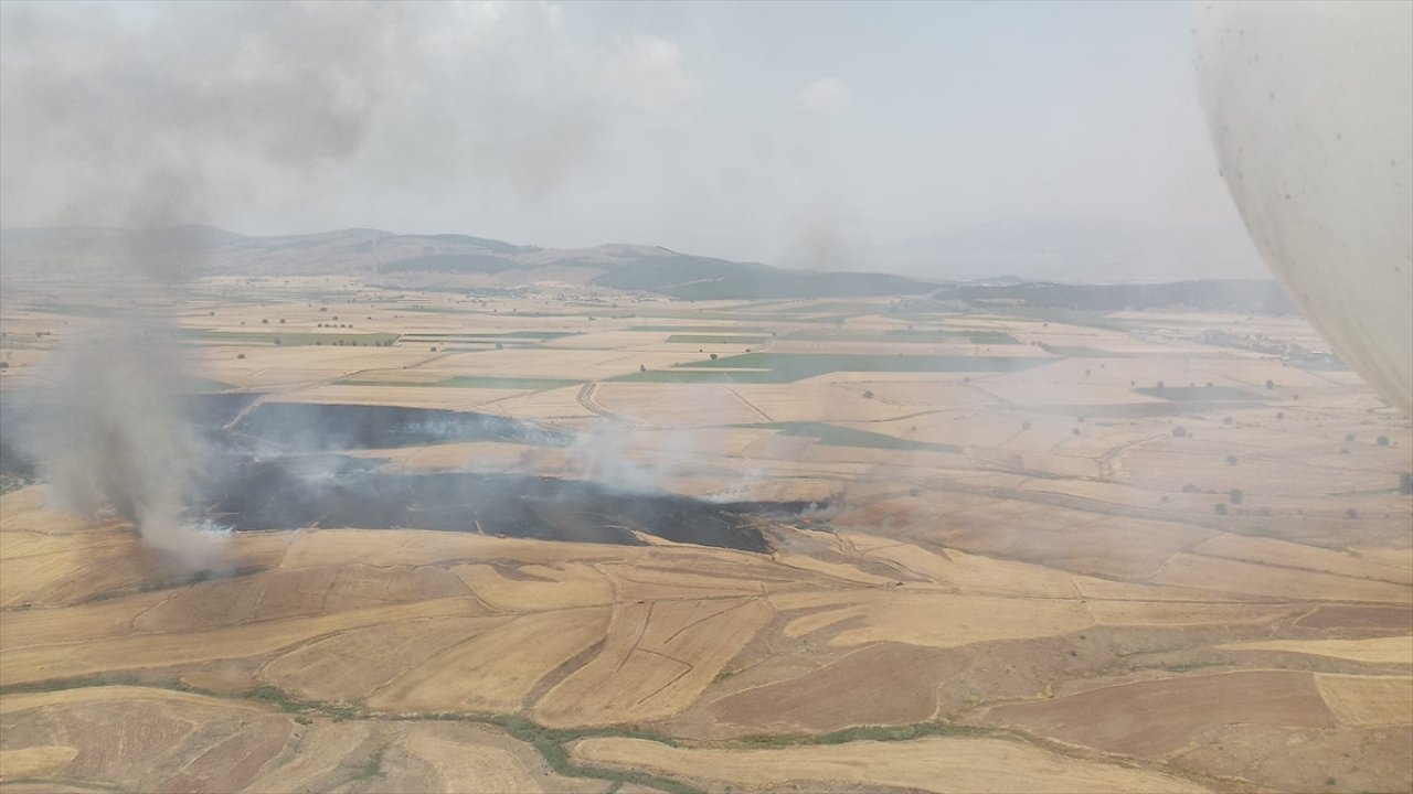 Kahramanmaraş'ta buğday tarlası yandı!