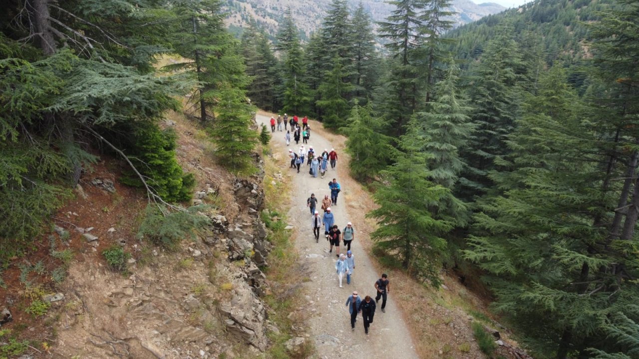 Kahramanmaraş’ın Yavşan Yaylası Doğaseverleri Hayran Bıraktı!