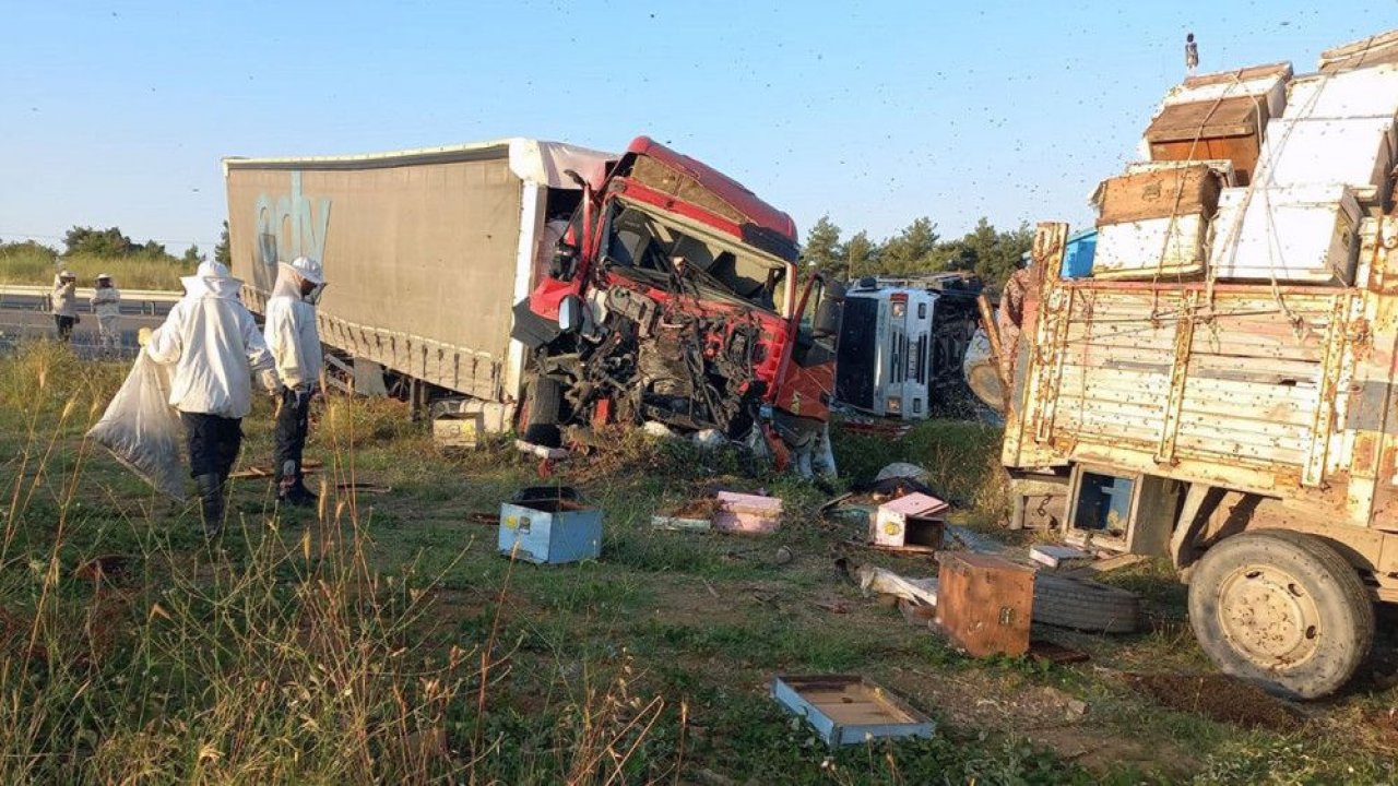 Arıcılara TIR çarptı! 4 ölü 1 yaralı