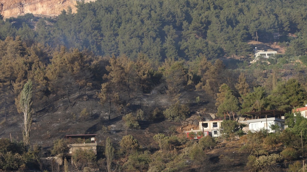 Kahramanmaraş’ta 22 hektar alan yandı!