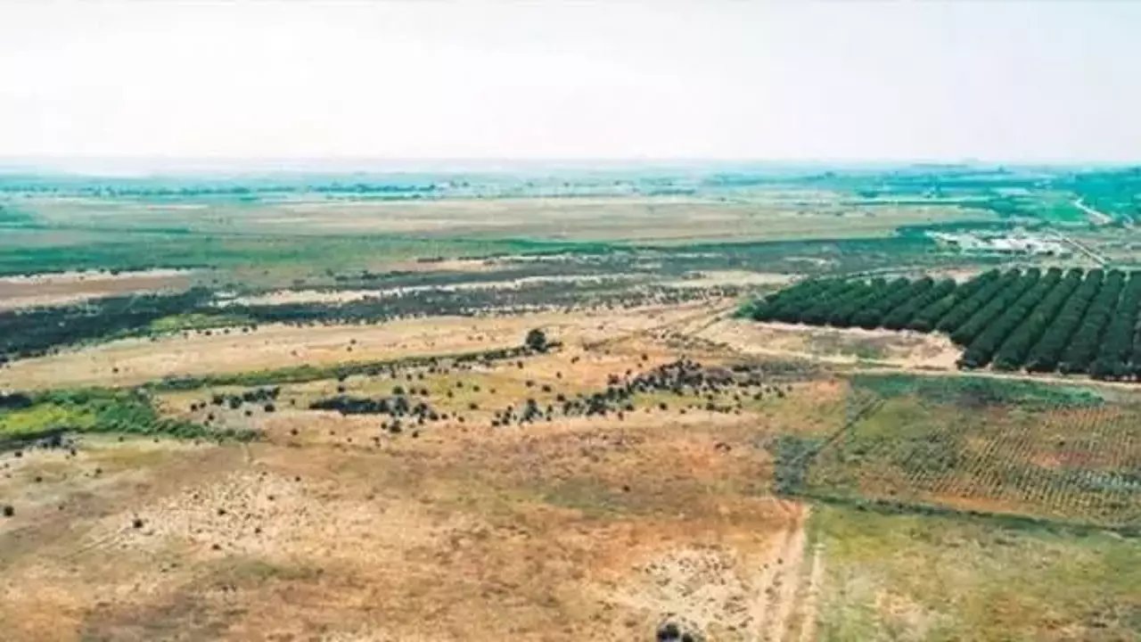 Hazine arazileriyle kentsel dönüşüme katkı sağlanacak!