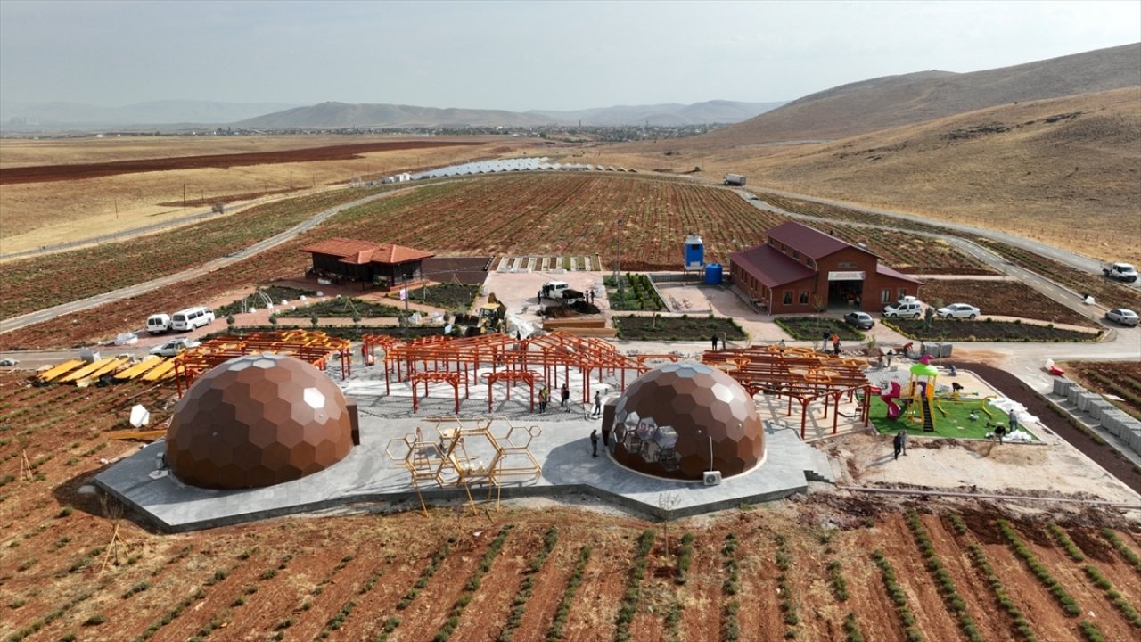 Kahramanmaraş’ta lavanta bahçesine kurulan "arı dünyası" açıldı!