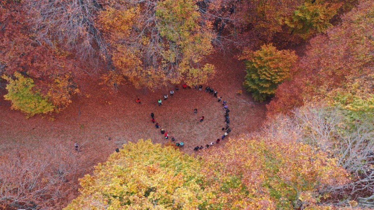 Kahramanmaraş’ta doğa turizminde yeni adres kayın gürgen ormanları!