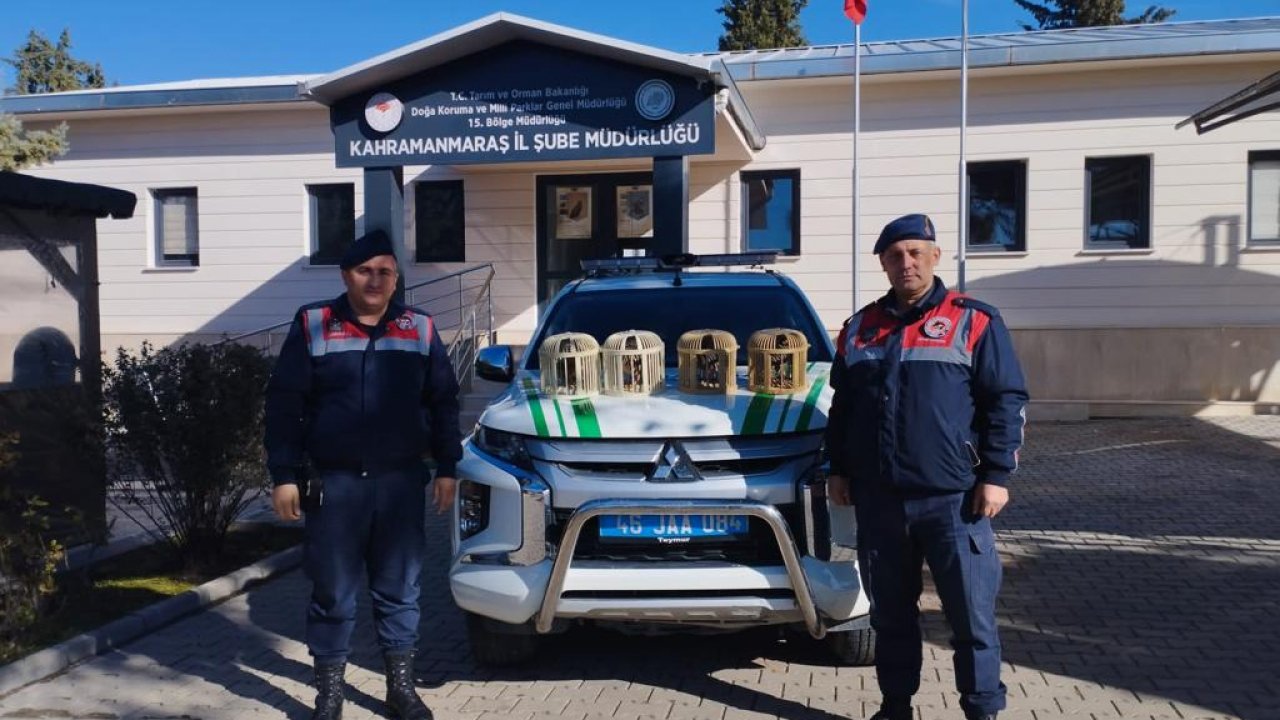 Kahramanmaraş’ta Jandarma kınalı kekliklere el koydu!