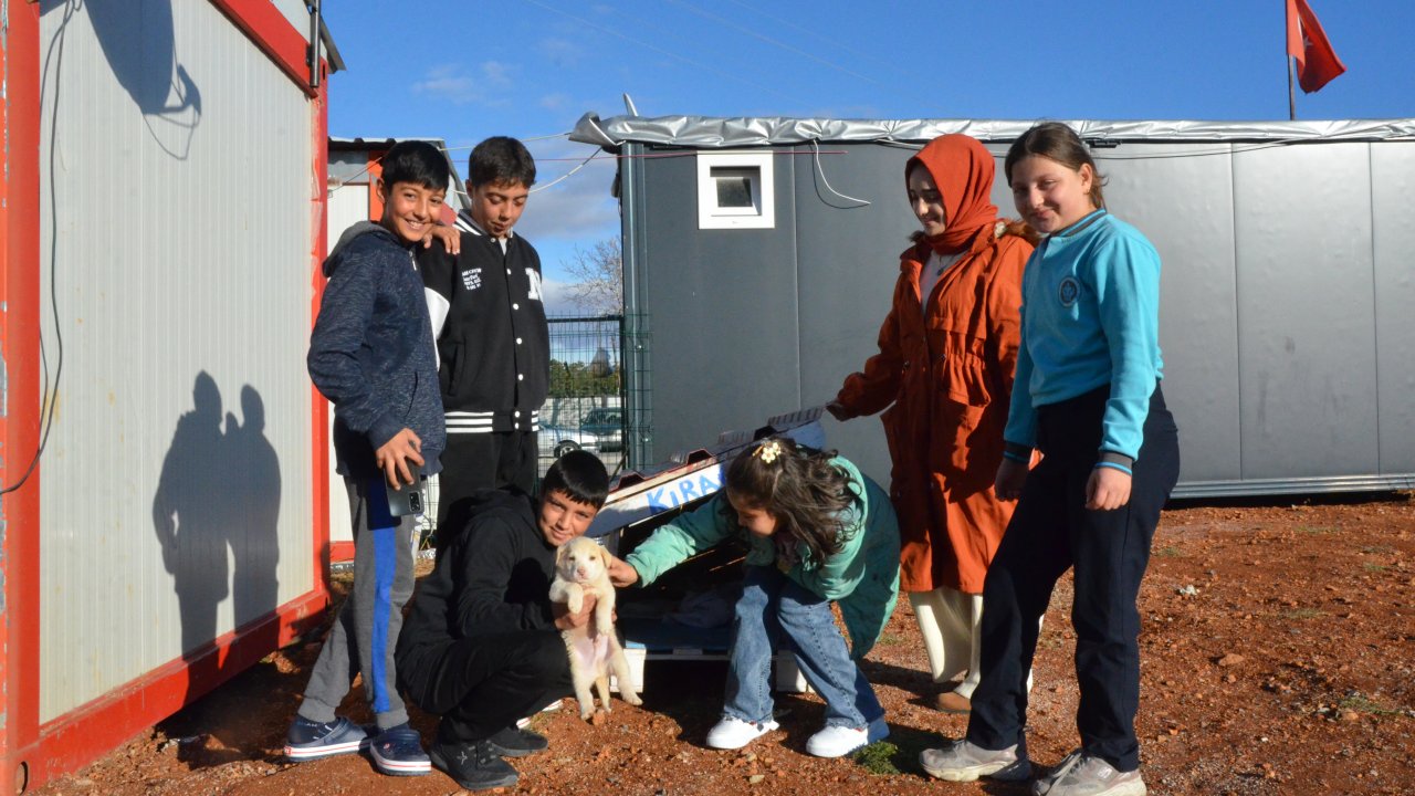 Köpek yavrusu Kahramanmaraş’ta depremzede çocukların maskotu oldu!