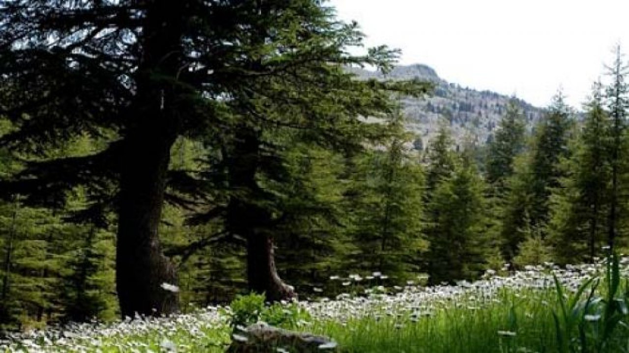 Fotoğrafçının Günlüğünden Kahramanmaraş