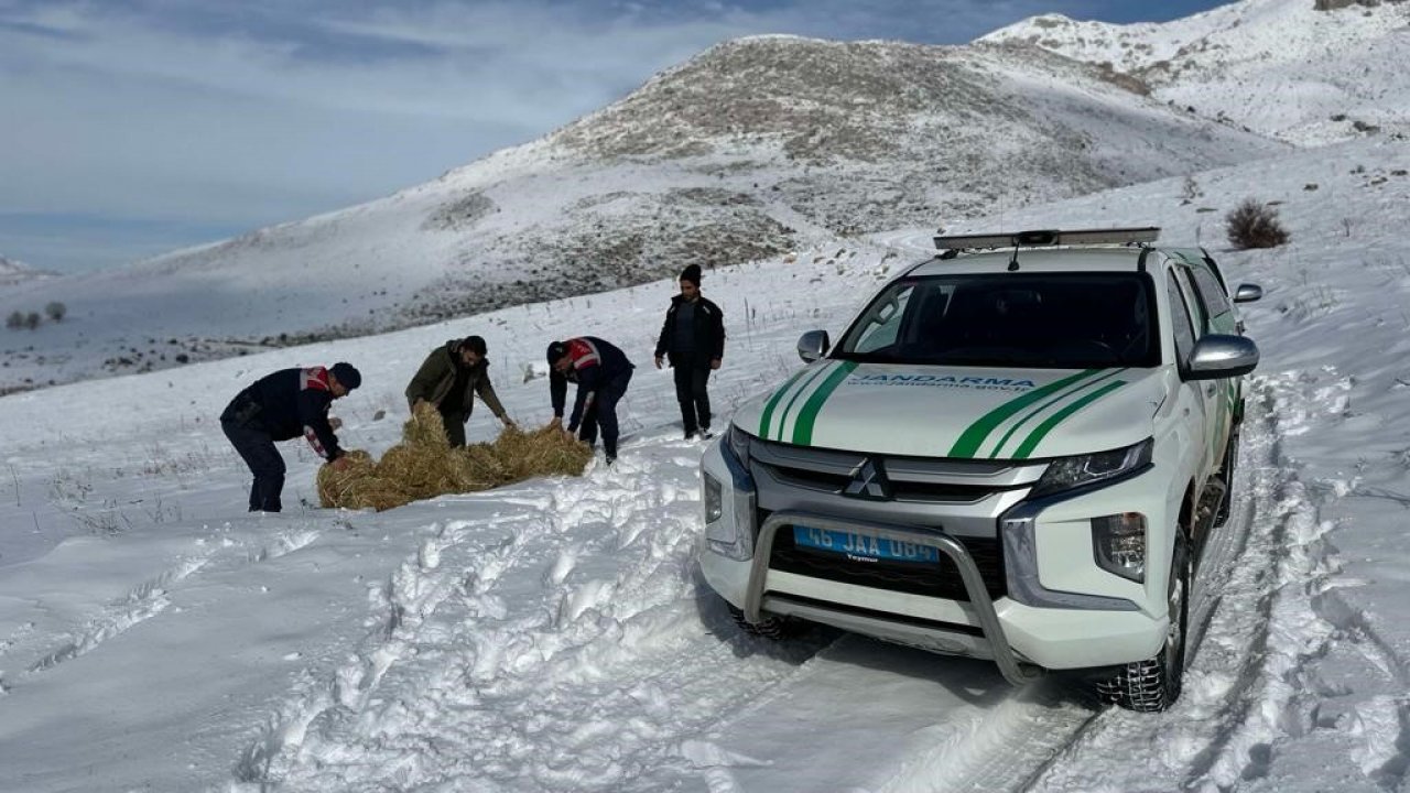 Kahramanmaraş’ta Yaban hayvanları için doğaya yem bırakıldı!