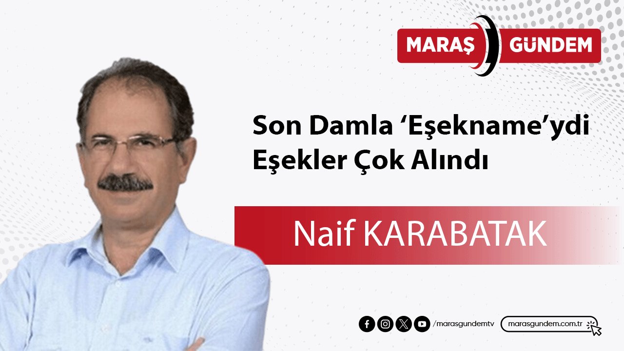 Son Damla ‘Eşekname’ydi, Eşekler Çok Alındı