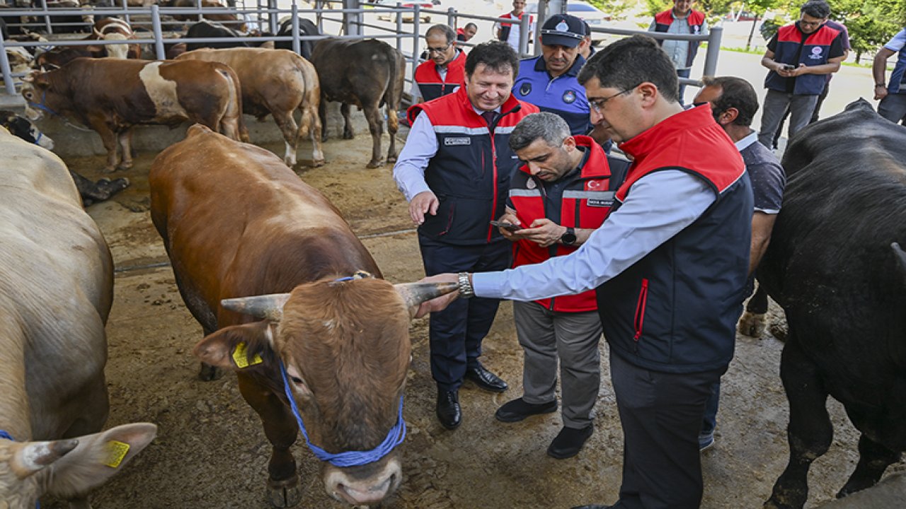 Kurban pazarlarında bayram hareketliliği başladı