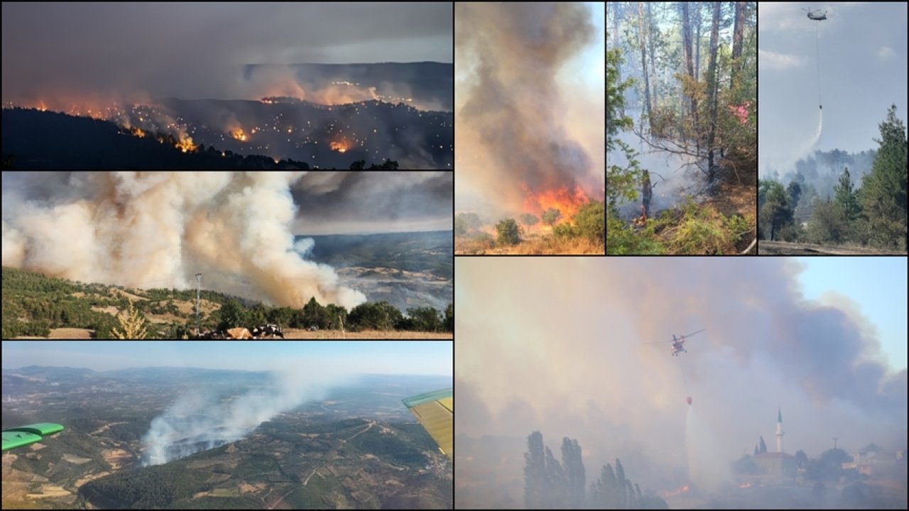 Türkiye Orman yangınlarıyla mücadele ediyor!
