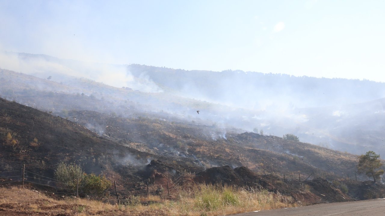 Kahramanmaraş'ta orman yangını kontrol altına alındı!