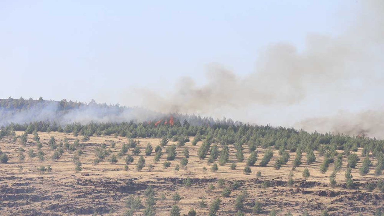 Kahramanmaraş’ta 14 saatlik yangın mücadelesi! 75 hektar zarar gördü!