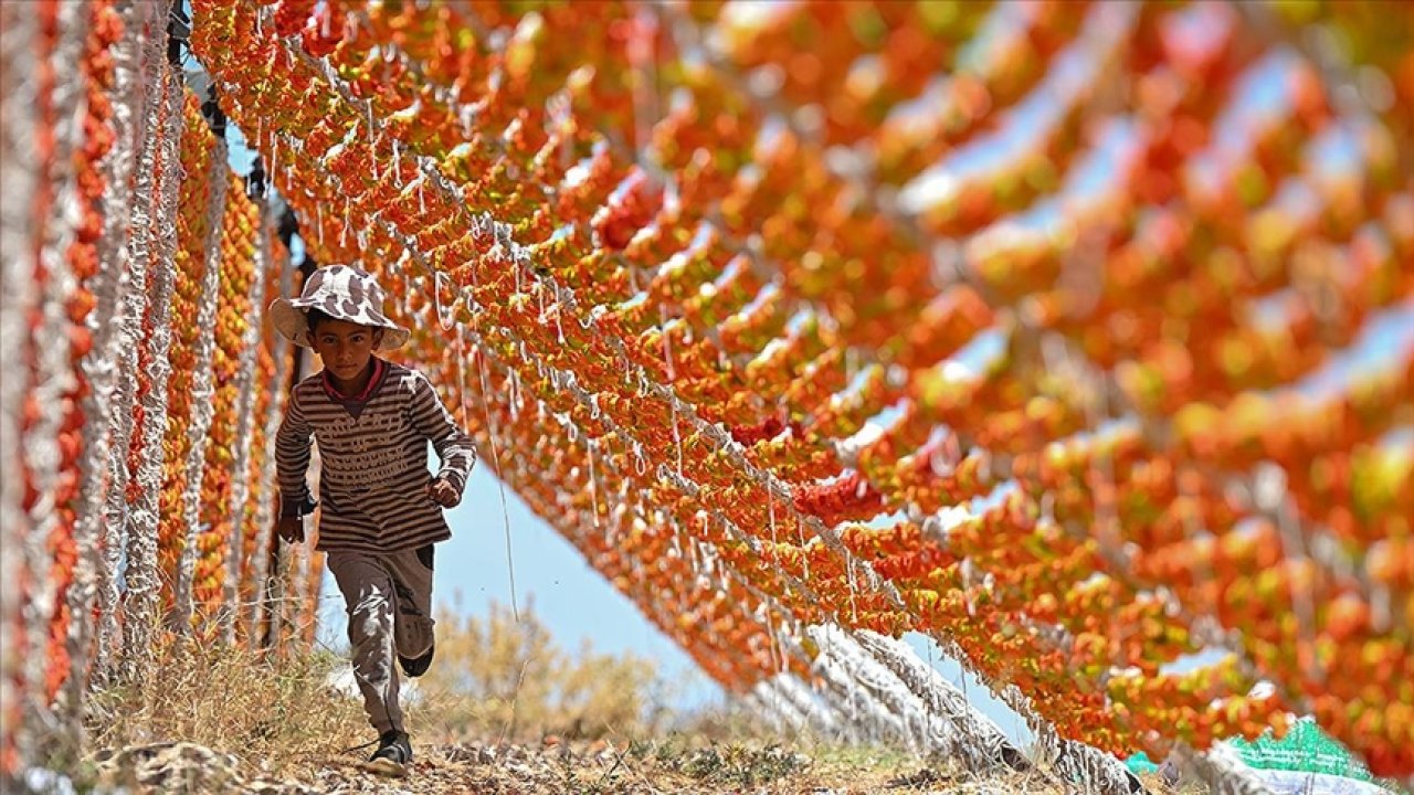 Gastronomi kentinin kurutmalıkları kavurucu sıcakta lezzetine kavuşuyor