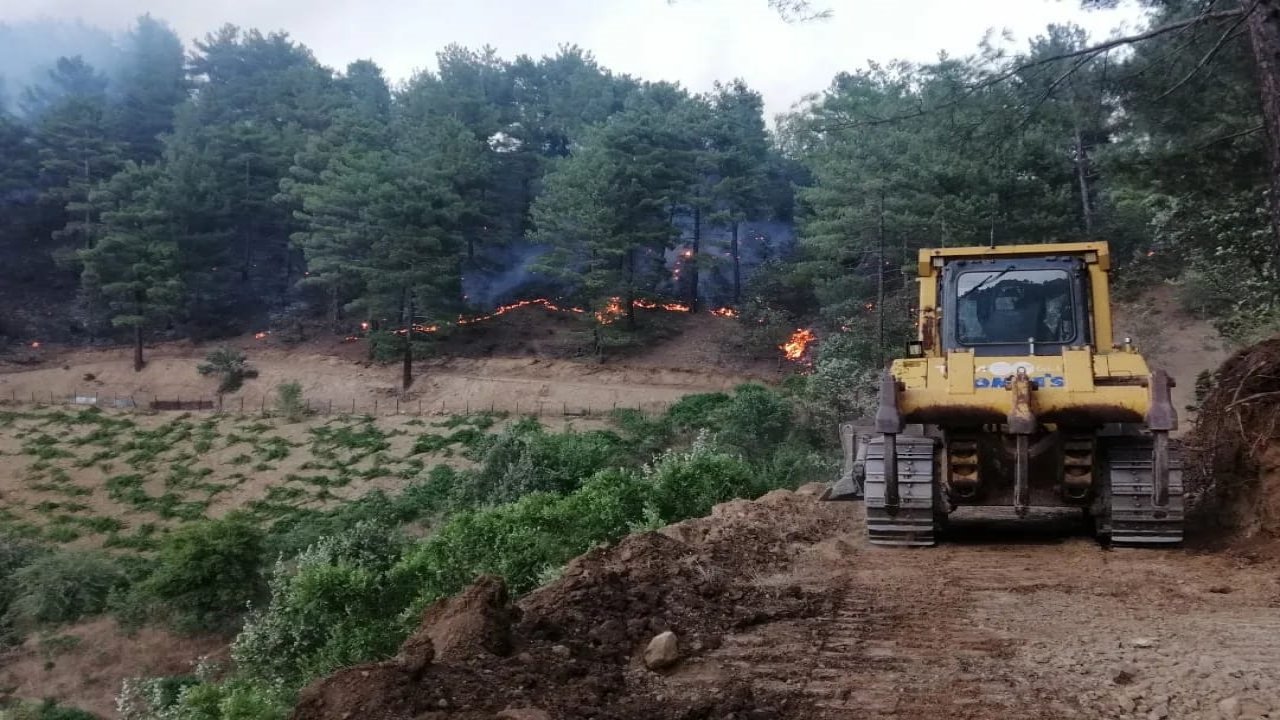 Kahramanmaraş’ta 18 Saat'te 80 hektar yandı!