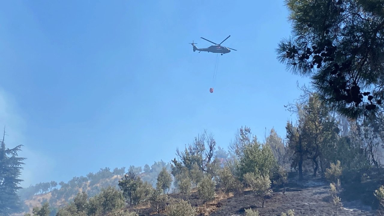 Kahramanmaraş’ta orman yangını çıktı!