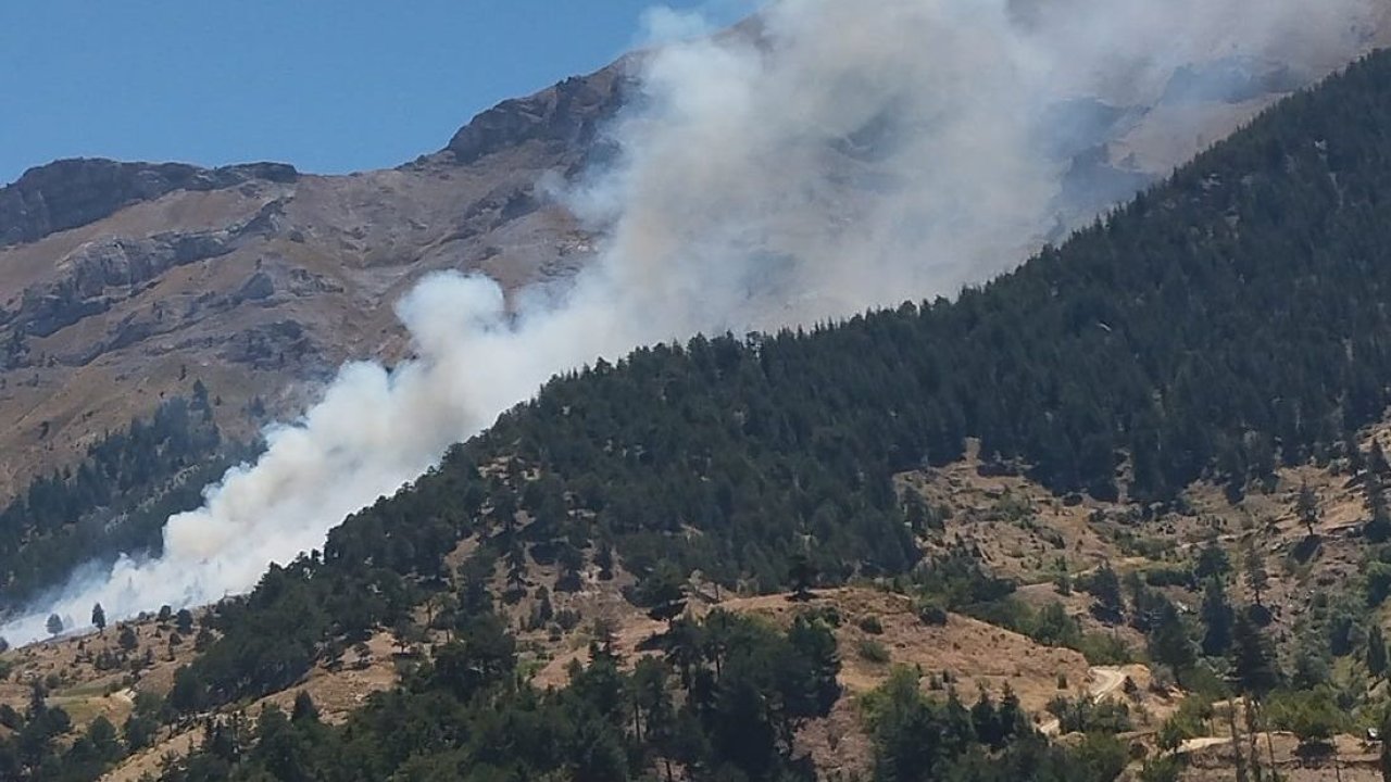 Kahramanmaraş'ta Ekinözü'nde  Orman Yangını!