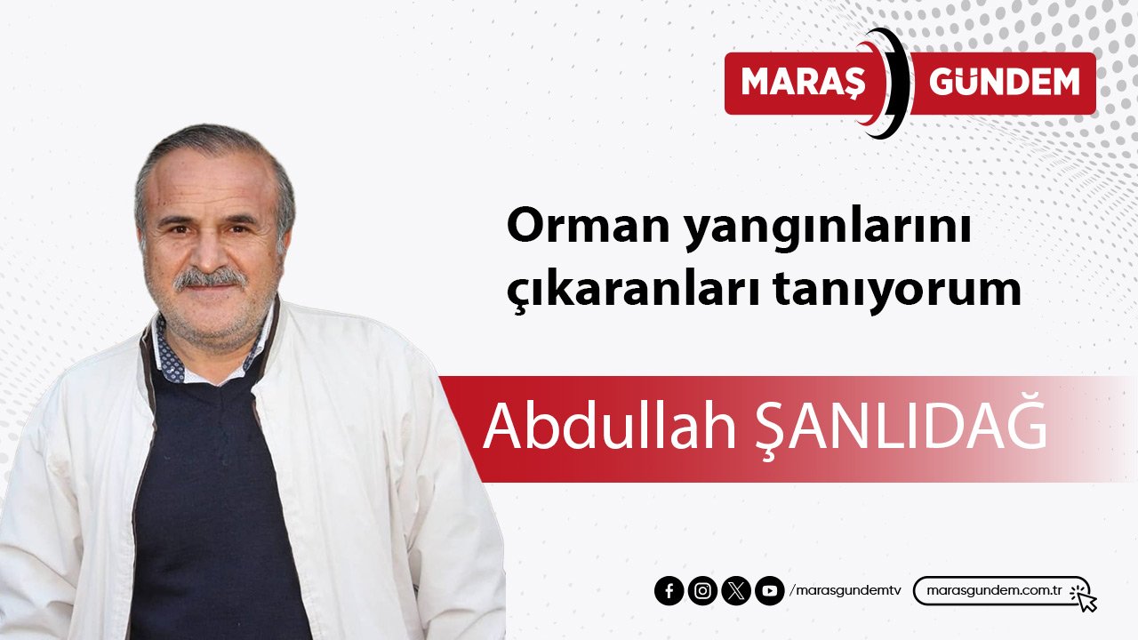 Orman yangınlarını çıkaranları tanıyorum