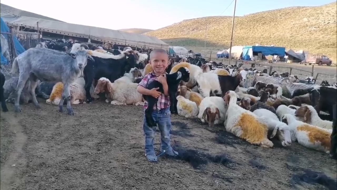 Kahramanmaraş’ta Göçerlerin Yaylada Üretimi Sürüyor!