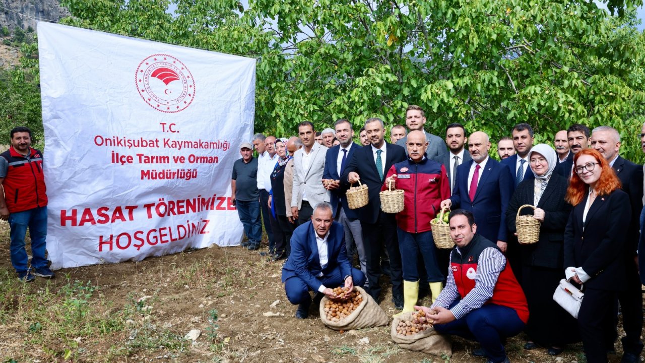 Başkan Toptaş, AB tescilli cevizlerin hasat şenliğine katıldı