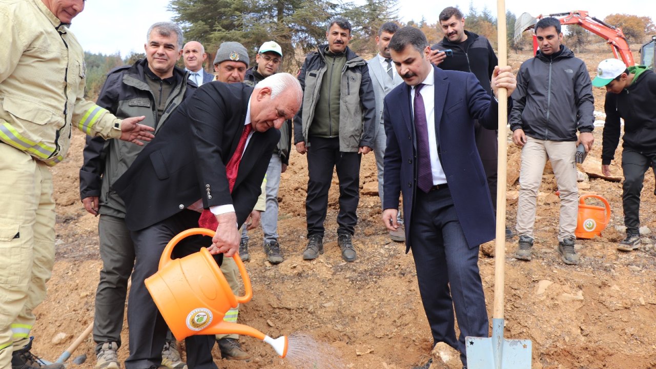 Başkan Selim Cüce fidan dikti!