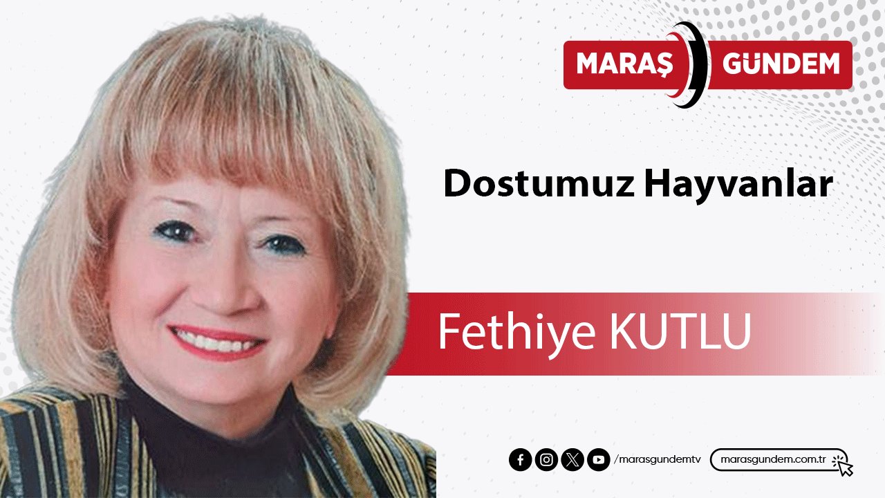 Dostumuz Hayvanlar