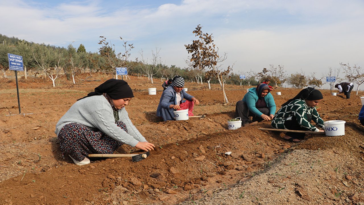 Kahramanmaraş’ta 10 yıl alım garantili iş modeli! Üreten parayı alacak!