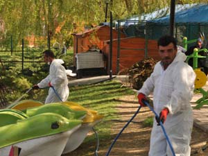 Belediyenin ilaçlı mücadelesi devam ediyor