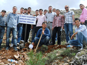 Elbistanda hatıra ormanı